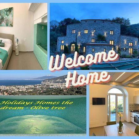 Holidays Homes The Dream Sant'Agnello Exteriér fotografie