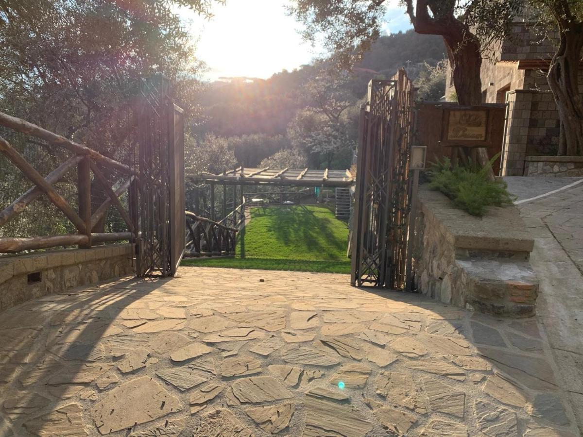 Holidays Homes The Dream Sant'Agnello Exteriér fotografie
