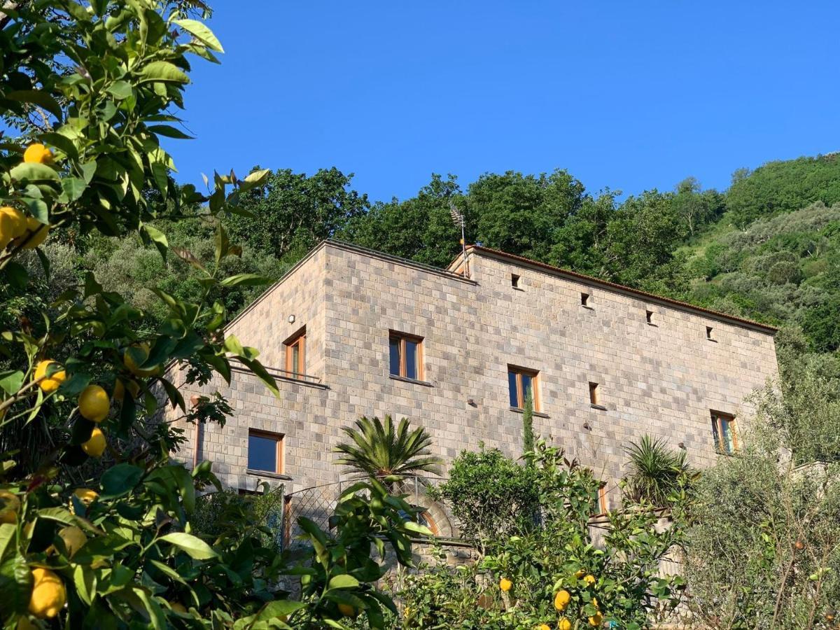 Holidays Homes The Dream Sant'Agnello Exteriér fotografie