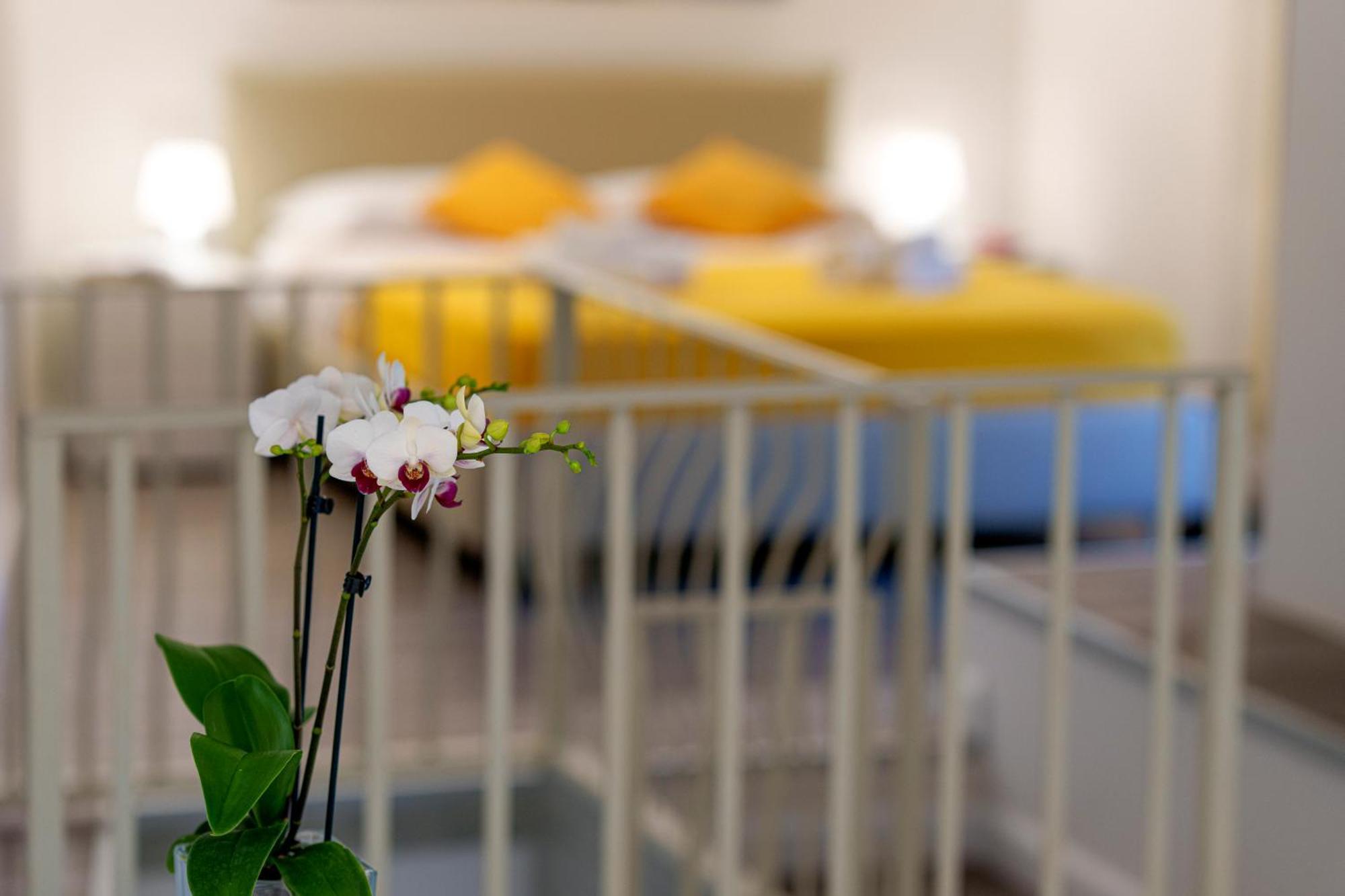 Holidays Homes The Dream Sant'Agnello Exteriér fotografie