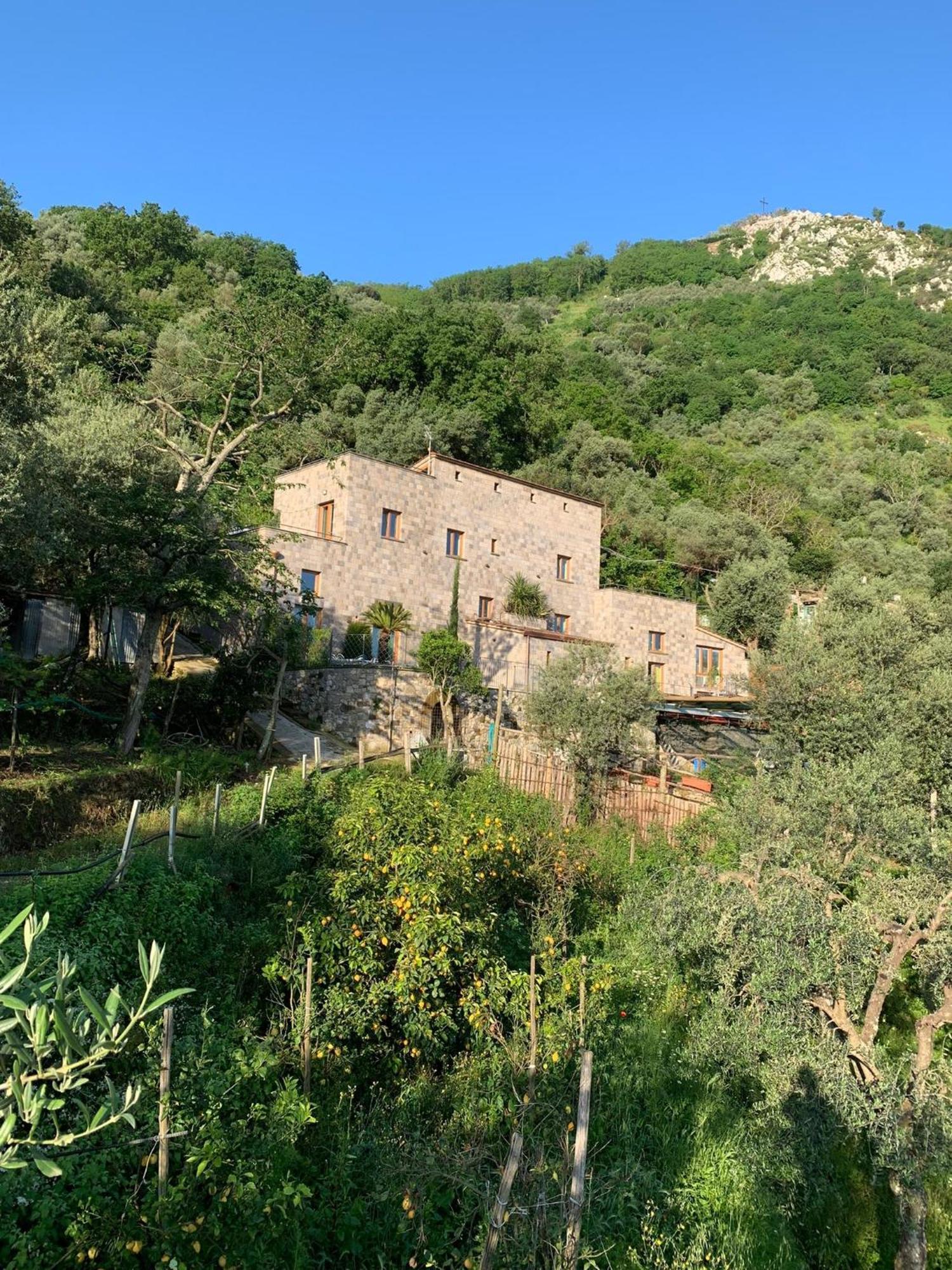 Holidays Homes The Dream Sant'Agnello Exteriér fotografie