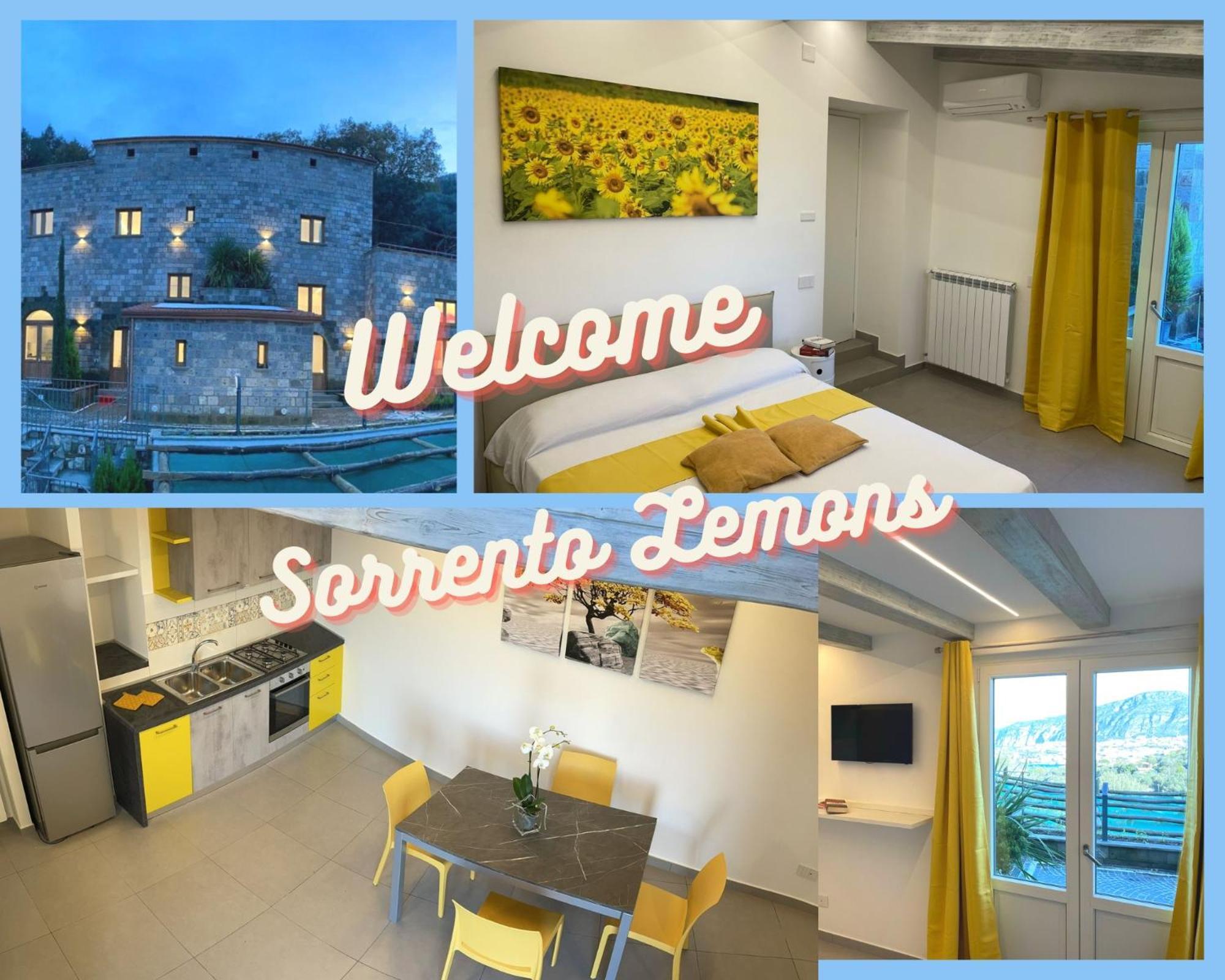 Holidays Homes The Dream Sant'Agnello Exteriér fotografie
