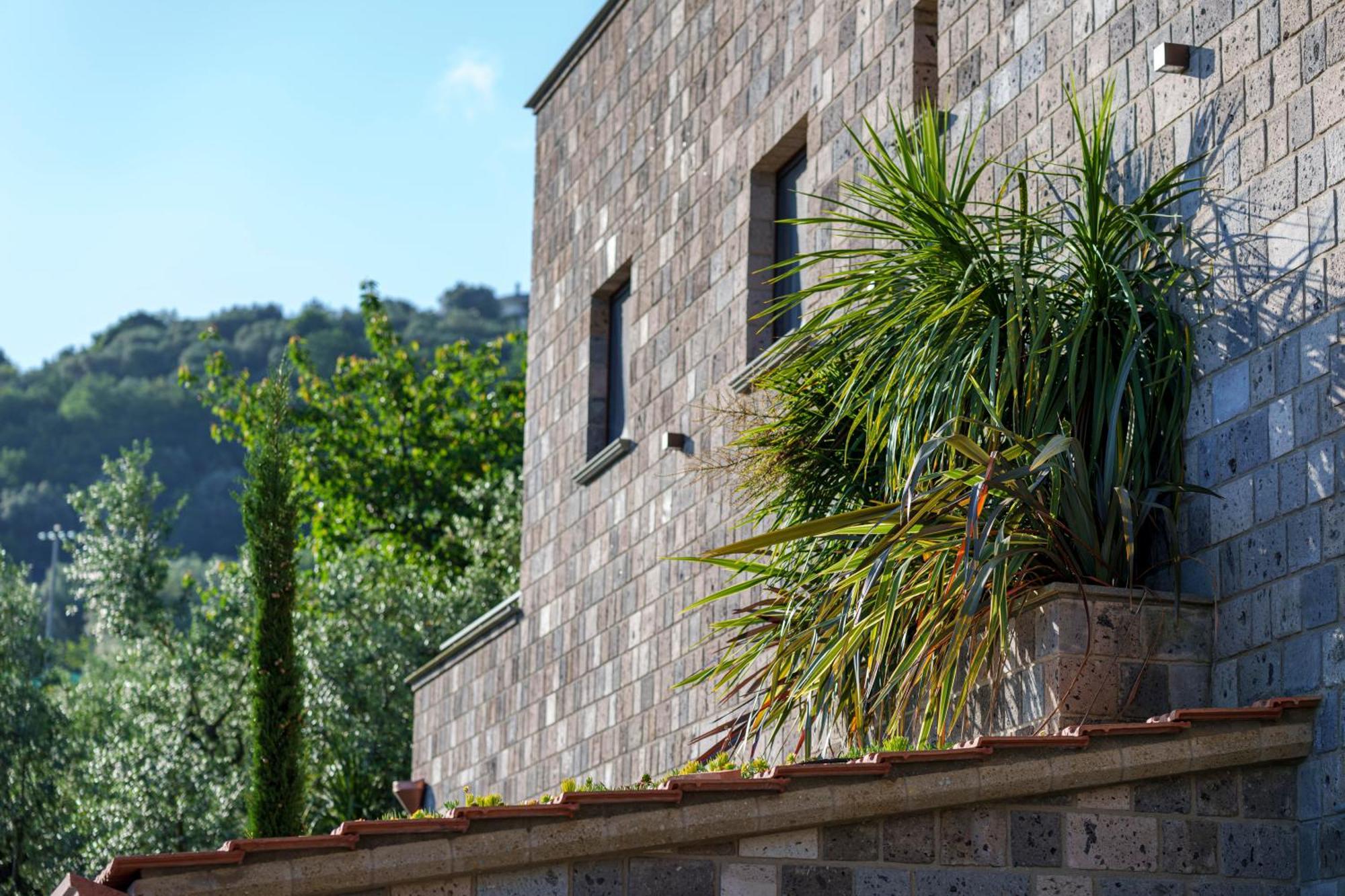 Holidays Homes The Dream Sant'Agnello Exteriér fotografie