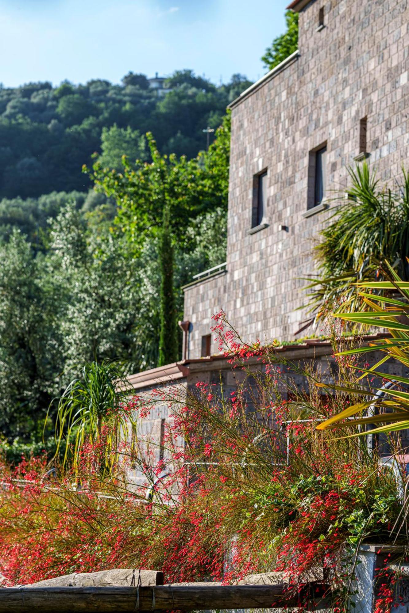 Holidays Homes The Dream Sant'Agnello Exteriér fotografie